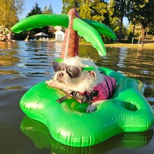 Meet your Posher, Amelia